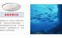 鱼胶原蛋白肽对术后伤口愈合及功能恢复的作用