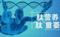 活性肽与重建免疫力