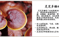 灵芝多糖与促进神经功能恢复功能,灵芝多糖对预防神经退行性疾病的作用。