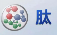 小分子肽是保健食品吗？为什么小分子肽不申请小蓝帽？