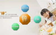 锌在人体内的功能与作用
