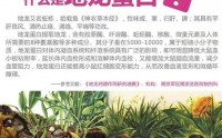 地龙蛋白肽抗动脉粥样硬化有哪些作用功能？