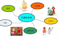 改善代谢与解毒和预防疾病