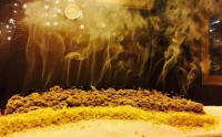 铺灸疗法具体是指是什么？铺灸疗法治疗癌症是骗人的吗