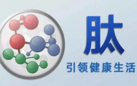 小分子肽对身体的全面营养作用！