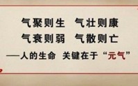 元气充足百病不侵！吃什么可以调补元气？