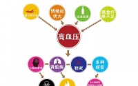 高血压是由什么引起的？高血压患者吃肽能降血压吗？