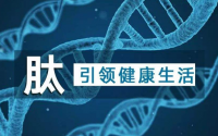 人为什么要补肽？肽的缺失对人体有什么影响？