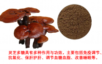 灵芝多糖抑制肝纤维化的机制,灵芝多糖修复肝细胞应用效果如何?