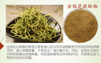 金银花提取物主要成分绿源酸的作用原理及应用分析
