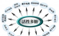 活性多糖调节免疫功能吗,活性多糖的免疫调节作用。