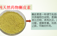 槲皮素抗流感病毒效果好吗,槲皮素对肺的功效.