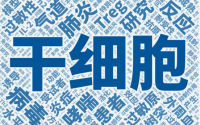 学会这个八个方法，激活你的干细胞！