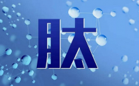 肽与市场上的蛋白粉相比，有什么优势？