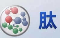 选择什么样的蛋白粉效果好？