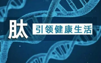 服用小分子肽为健康增福气