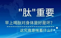 复合肽+钙蛋白固体饮料