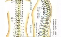 牛骨髓肽可以调理腰椎病颈椎病吗？吃牛骨髓肽有什么好处？