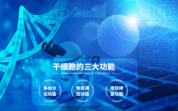 干细胞技术那么火，什么是干细胞有什么作用？