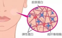 女人吃蛋白肽真的能年轻吗,蛋白肽哪种好?