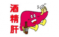 酒精肝怎么来的