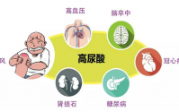 身体里的尿酸从哪里来？到哪里去？