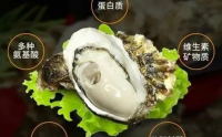 牡蛎与牡蛎肽养生保健功效及品牌