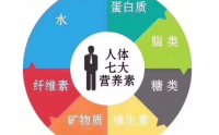 营养与健康