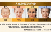 男女都需要的鱼胶原蛋白肽既抗衰老又美丽健康