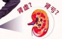 男人肾虚肾亏的表现有哪些？牡蛎肽补肾效果好吗？