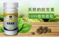  绿之韵(Resgreen)韵宜生菊苣黄精压片糖果0.5g×80粒/瓶