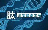 小分子肽与各个器官的功能分析，小分子肽调理身体都有什么作用？