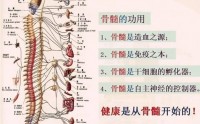 频繁手淫，肾虚髓空，家长再逼迫孩子也学习不好！