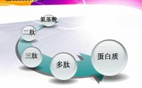 哪些人容易缺乏蛋白质？缺乏蛋白质有哪些表现？小分子肽真能补充蛋白质吗？
