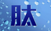 小分子肽那么火，补肽有什么作用？
