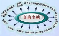 食用真菌抗肿瘤与癌症的作用