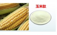 玉米肽与促进酒精代谢的机制,玉米肽能醒酒解酒吗？