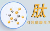 肽对人体的作用，具有“小、强、快、高、全”的特点