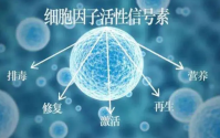 活性肽——小分子大能耐