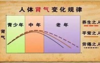 男人肾精亏虚吃什么好？吃牛骨髓肽真能填精补髓吗？
