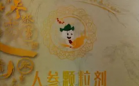 世宴人参颗粒剂的核心成分与作用机制分析