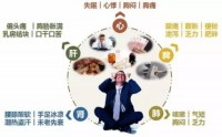 亚健康不容忽视！干细胞调理亚健康作用机制！