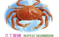 几丁聚糖甲壳素能减肥吗？几丁聚糖甲壳素如何控制体重？