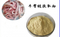 金骨髓粉是什么？金骨髓粉品牌排名