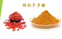 枸杞多糖与保护肝脏的作用机制,枸杞多糖在改善视疲劳方面的的应用.