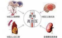 高血压的危害不能忽视！肽调节高血压的作用是什么？