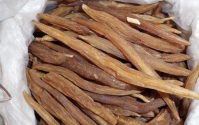 吃什么能补骨髓?补骨髓中草药:天门冬