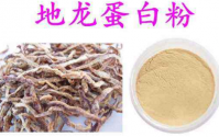 地龙蛋白抗血栓的作用地龙蛋白肽适合什么人吃