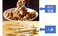 纳豆人参纤溶酶有什么作用,纳豆人参纤溶酶效果怎么样？