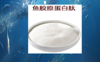 鱼胶原蛋白肽对高血脂的好处,鱼胶原蛋白肽对调节血脂代谢有用吗?